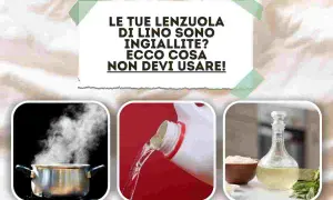 Le tue lenzuola di lino ingiallite? Ecco cosa non devi usare! Immagini mostrano pentola a vapore, liquido da una bottiglia e olio in una caraffa.