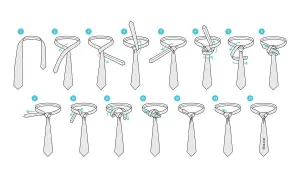 Illustrazione passo passo per creare un nodo cravatta perfetto. Segui le 15 fasi per un risultato impeccabile.
