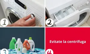 Guida per come lavare i plaid in lavatrice: imposta il programma, aggiungi il detersivo, usa prodotti delicati e evita la centrifuga.