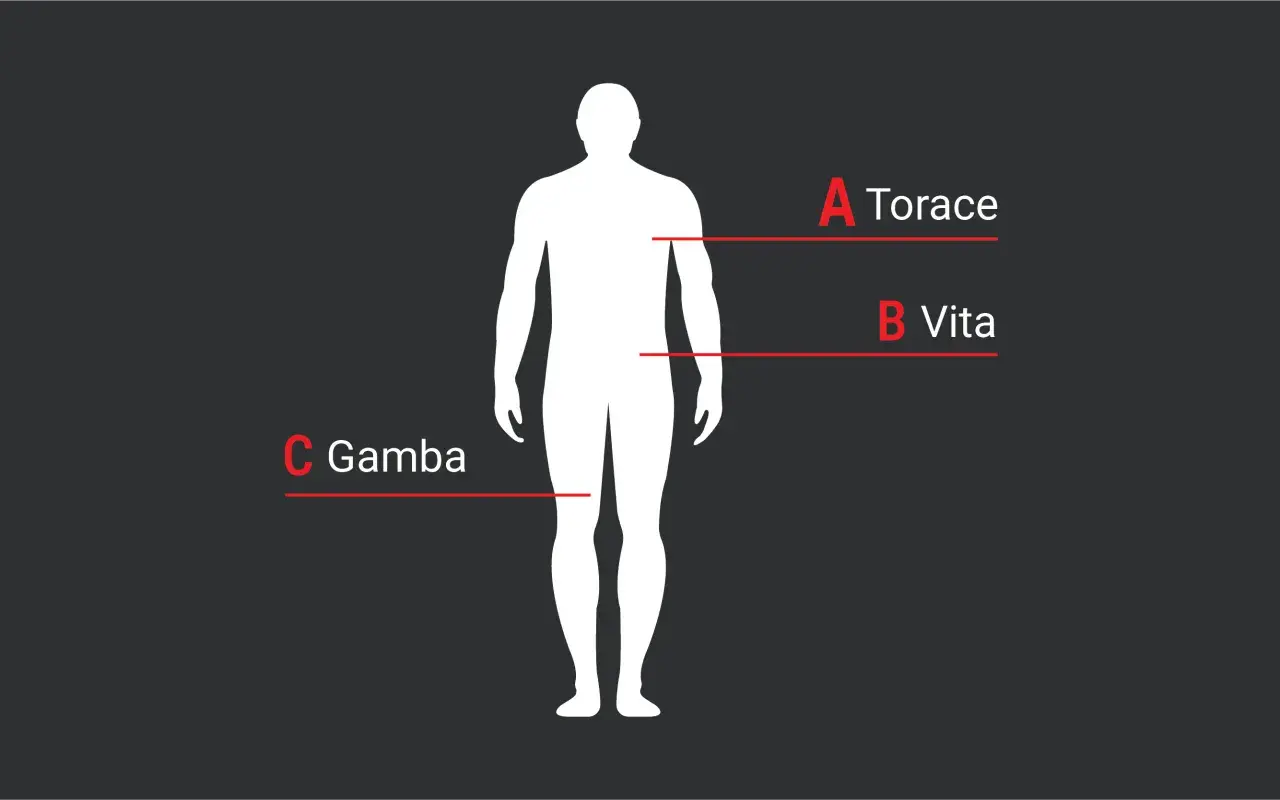 Schema del corpo umano con indicazioni per le taglie americane: Torace (A), Vita (B), Gamba (C).