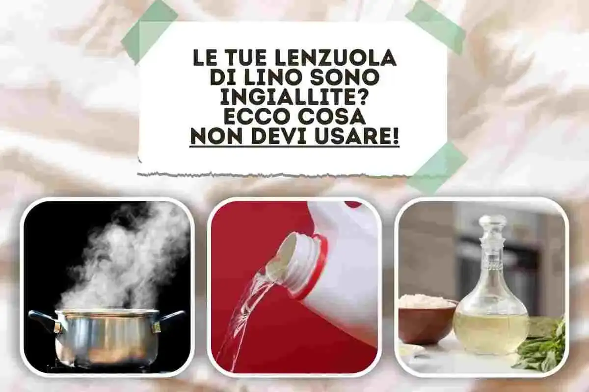 Le tue lenzuola di lino ingiallite? Ecco cosa non devi usare! Immagini mostrano pentola a vapore, liquido da una bottiglia e olio in una caraffa.