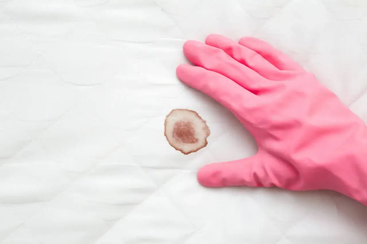 Mano con guanto rosa pronta a togliere macchie di sangue con acqua ossigenata da un materasso trapuntato bianco.